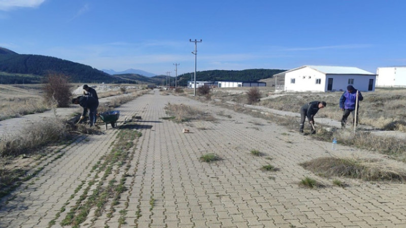 Başkan Aynacı: 