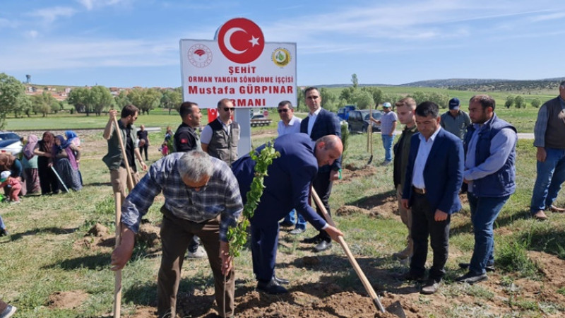  Şehit Mustafa Gürpınar adına hatıra ormanı oluşturuldu